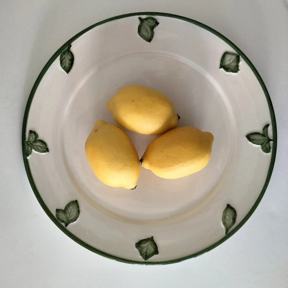 Williams Sonoma plate / serving dish